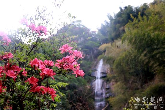 黃龍山頂，風(fēng)景如畫 黃錚 攝_副本.jpg.jpg